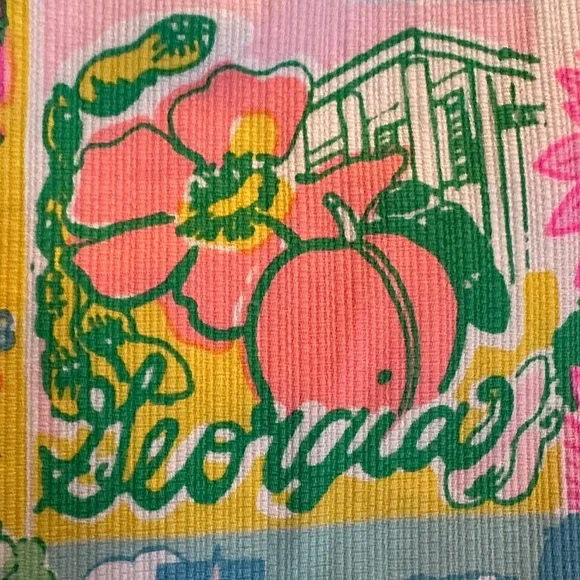 Lilly Pulitzer state of mind Skirt - Picture 9 of 12